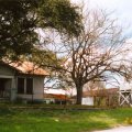 image photo-18-jpg