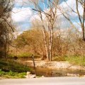 image photo-20-jpg