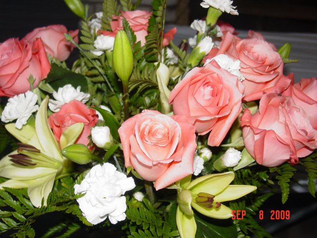 image dsc05838-jpg