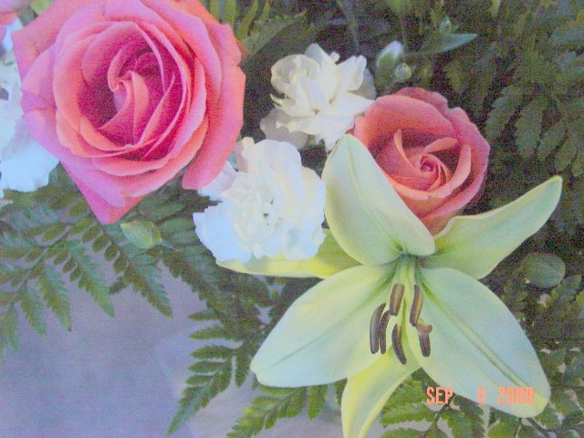 image dsc05840-jpg