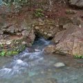 Comal Springs